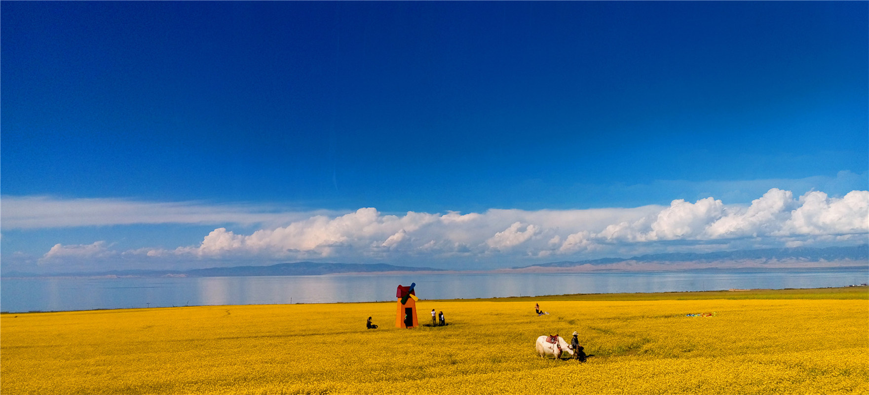 《大美青?！穭㈤?/>
                                    <div   id=